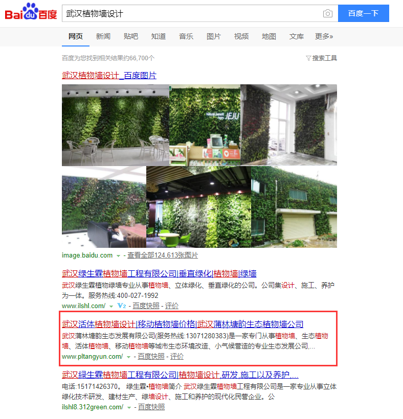 武漢植物墻設(shè)計