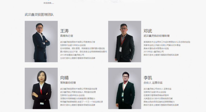 武漢網(wǎng)站優(yōu)化公司